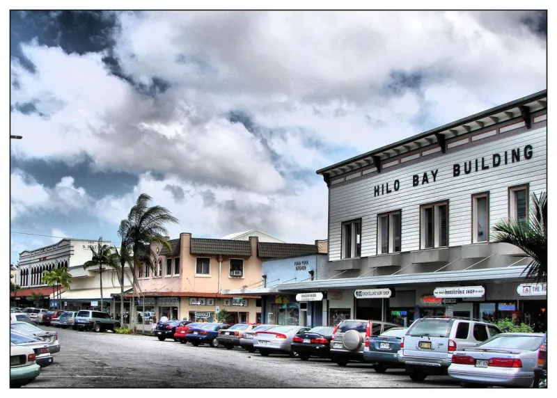 Transit, Burning Trees, Property Tax: Hawaii County Council District 2 Candidate Q&As