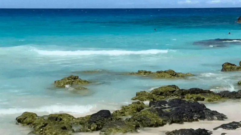 Hawaii County Surf Forecast for July 24, 2026