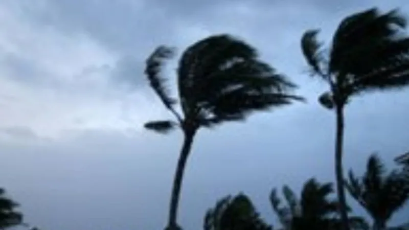 Wind advisory issued for portions of Hawai'i Island