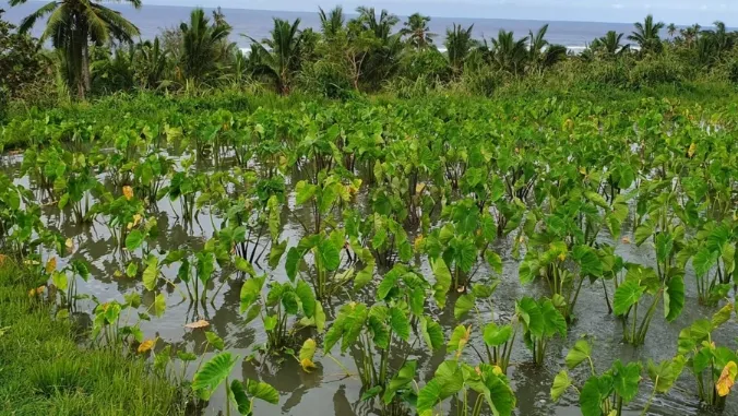 UH West Oahu faculty advance global research on food system sustainability