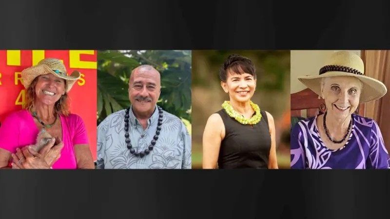 Hawaii County's District 4 is an open council seat with Ashley Kierkiewicz unable to run due to term limits