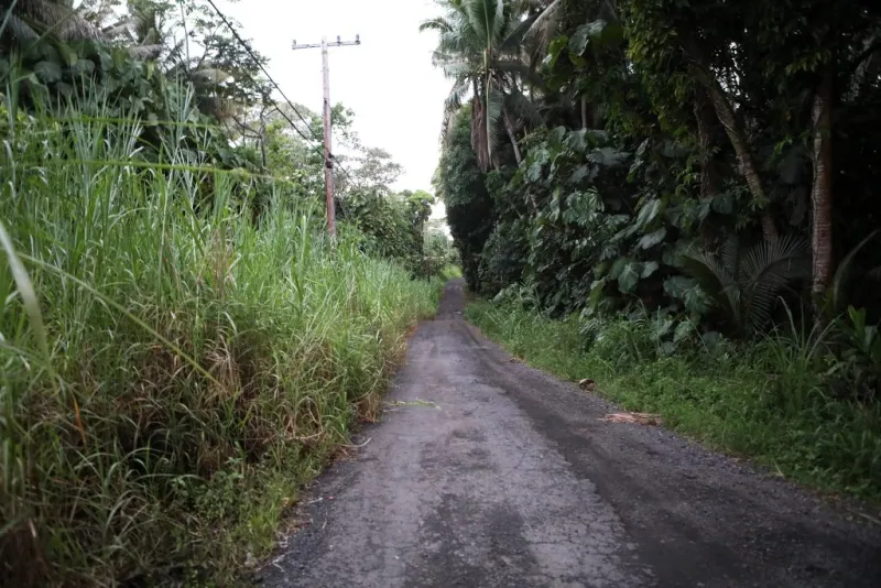 Hawaii County reaches agreement with landowner to prevent eminent domain for widening of a Puna road