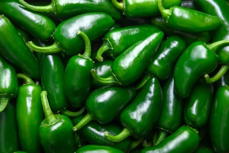 Salmonella outbreak linked to jalapeos results in 345 illnesses across 27 states