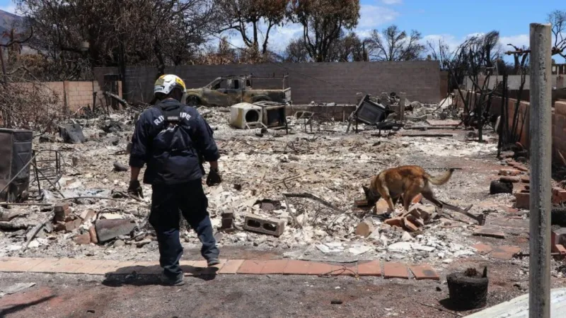 Funder Hui launches statewide disaster philanthropy network