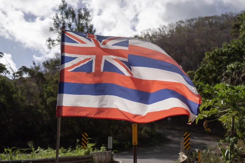 Some say voting in Office of Hawaiian Affairs races is everyone's kuleana, but who should vote?