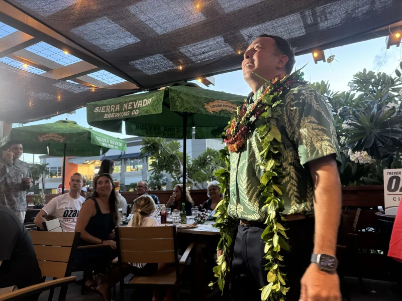 Honolulu Council Results: Ozawa And Gregory Head To General Election For Waikk Seat