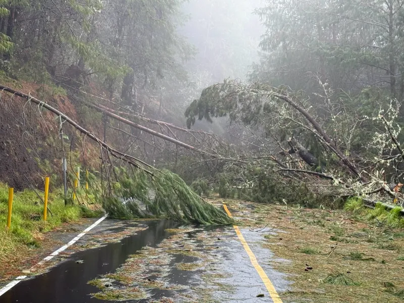 'Utter Devastation': Lala Turns Hawaii Upside Down, Spares Some