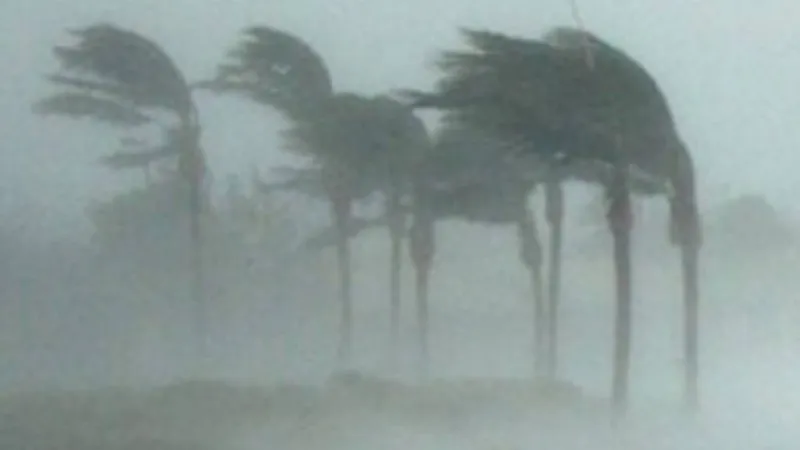 Hawaii residents urged to quickly file insurance claims following Hurricane Lala