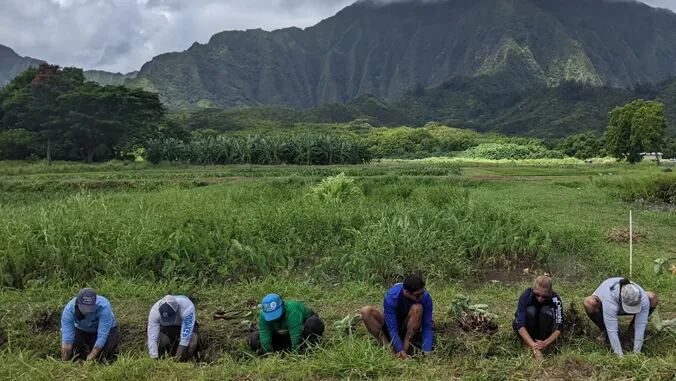 Building Hawaii's next generation of water stewards