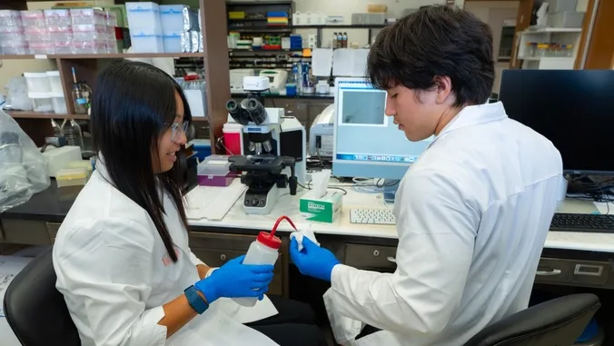 Students address local issues through eight-week research program