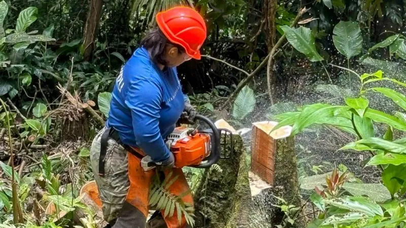 Kupu applications open for new program to improve trails on Kona side of Big Island