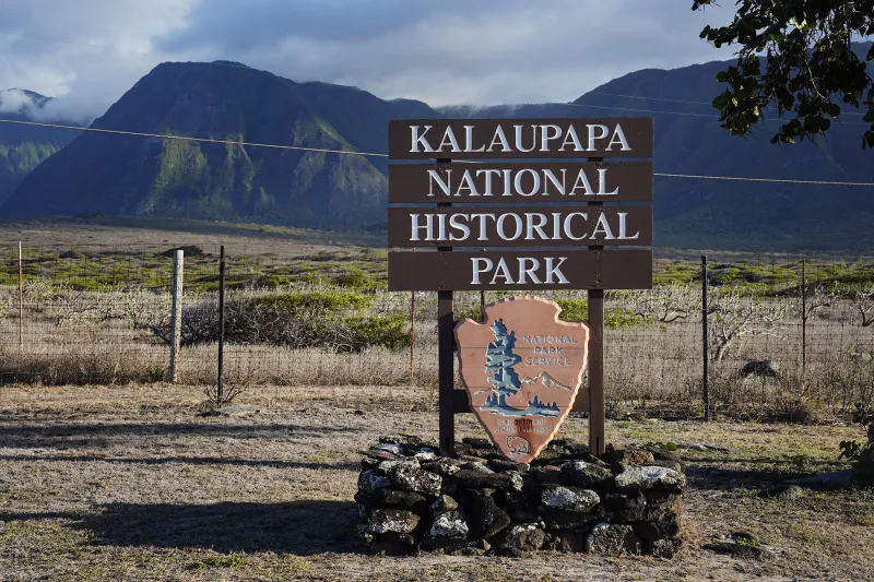 E K Paha Ke Komo Ana Ma Kalaupapa I Ka hua Hala? 'Aohe Mea Ike'