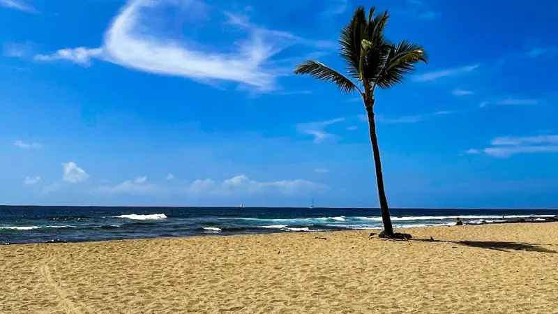 Hawaii County Weather Forecast for August 23, 2026