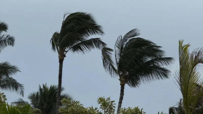 Wind advisory remains in effect through midnight for the Big Island