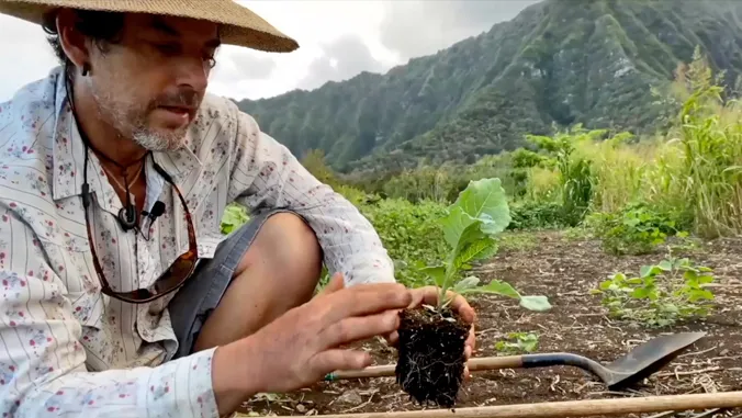 UH posts $647.3M in FY 2026 extramural funding, 2nd-highest total and 5th year $500M+