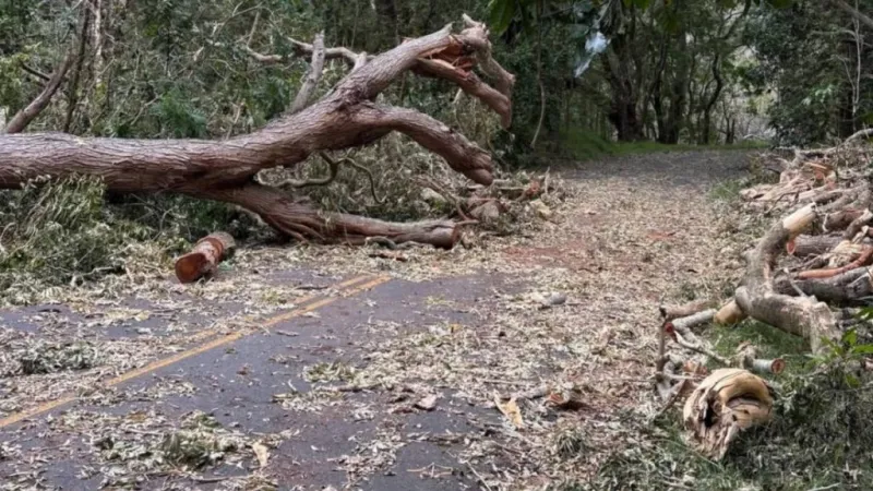 Some areas within Hawai'i Volcanoes National Park reopen after Hurricane Lala