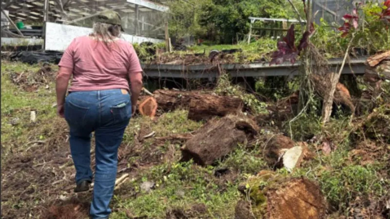 Ka farm among 162 awarded in first round of flood response grants