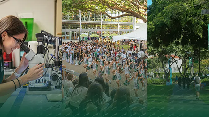 A welcome message from UH Mnoa Chancellor Vassilis L. Syrmos