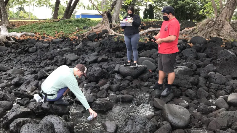 Just published: UH Hilo-led study documents sewage pollution in Hilo nearshore waters, from Keaukaha to Honoli'i