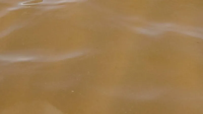 New brown water advisory in effect for Honuapo to Punaluu along Big Island's southeast coastline