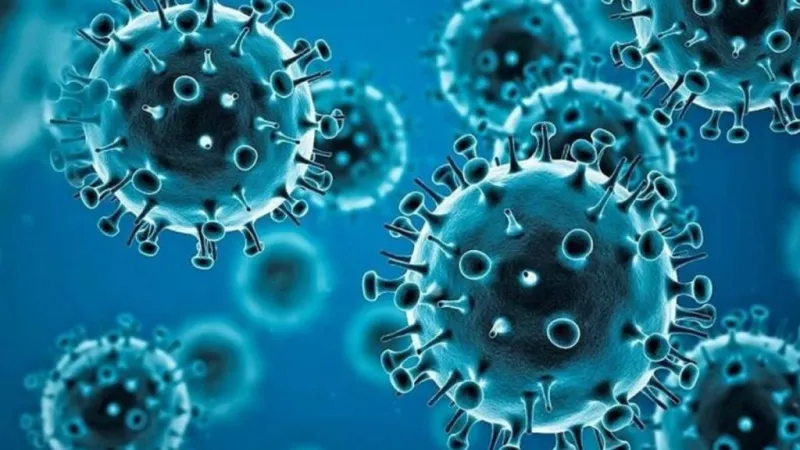 Staff at long-term wing in Honoka'a Hospital dealing with COVID-19 outbreak of nearly half its patients