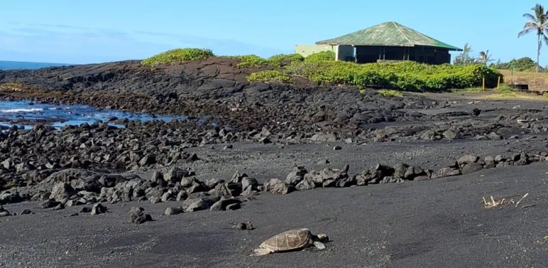 Punaluu Black Sand Beach Park reverts to private stewardship after failed lease negotiations with Hawaii County