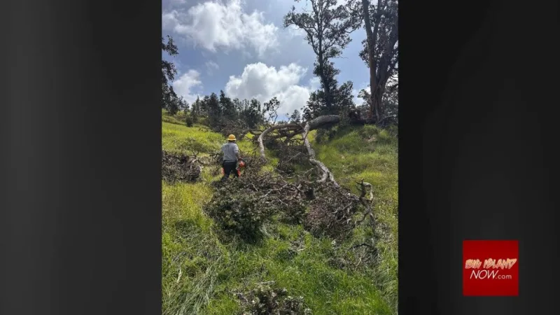 Hawaii Volcanoes National Park reopens most areas after storm-related closures