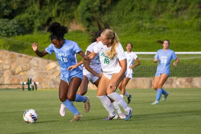 Sharks Fall to Hawai'i in Cross-Town Matchup