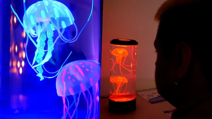 Sensory spaces expand to all 10 UH campuses, supporting campus well-being