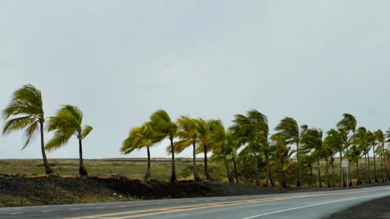 Wind advisory issued for portions of Hawai'i Island