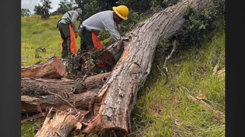 Kahuku Unit at Hawai'i Volcanoes National Park to reopen following Lala damage