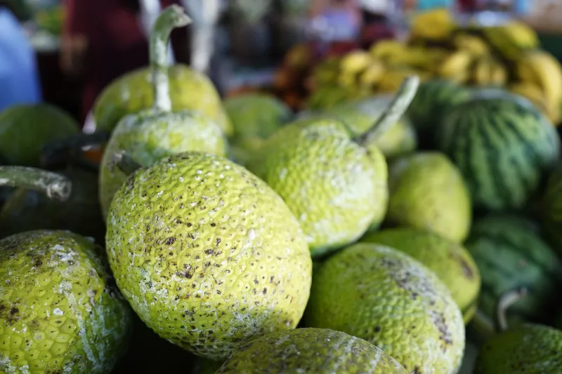 Ulu On The Up: Hawaii Breadfruit Production Keeps Booming