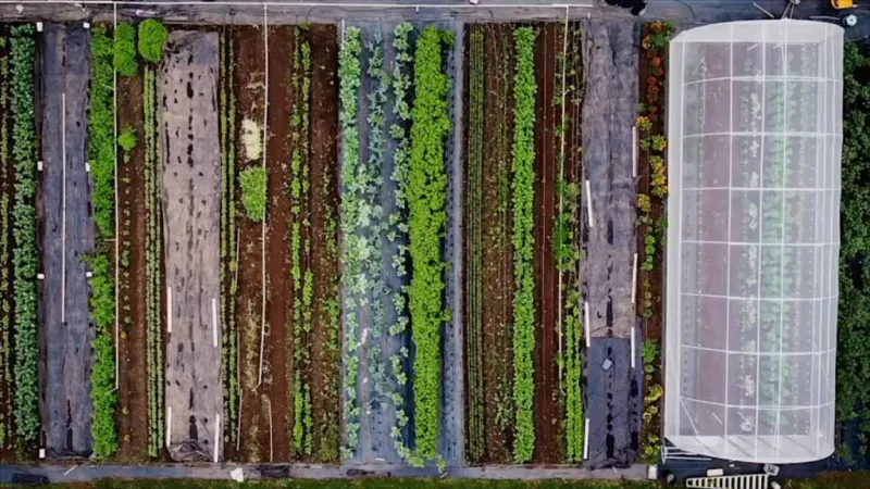 $2M award to be used to develop artificial intelligence tools to protect food production systems