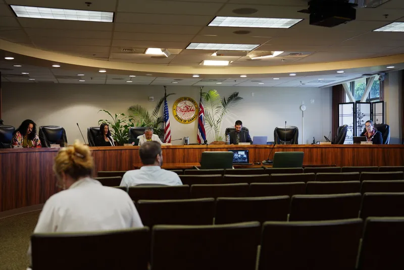Hawaii Island Auditor Says She Needs A Deputy. Voters Will Decide