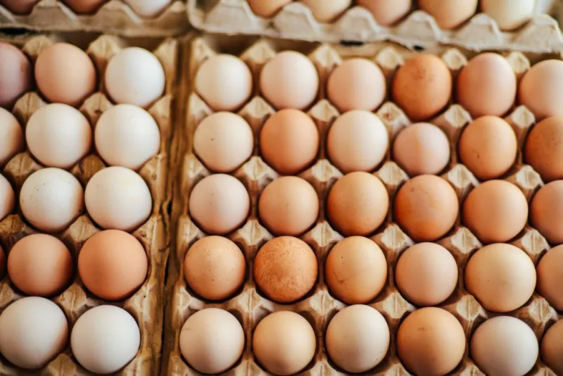 Hawaii to get 1 million eggs as part of federal price-fixing settlement with an Arizona farm