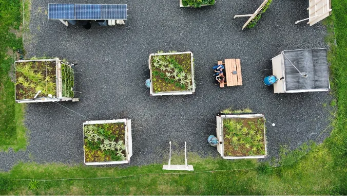 Green roofs and living walls advance urban sustainability in Hawaii.