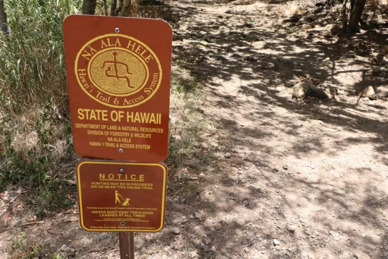 State, national parks announce closures ahead of Tropical Storm Nolo