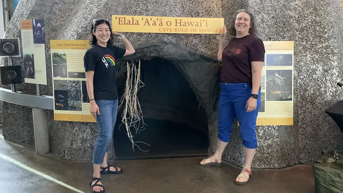 UH researchers bring hidden lava tube biodiversity to life at Bishop Museum