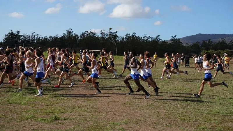 Saturday Cross Country Races Canceled