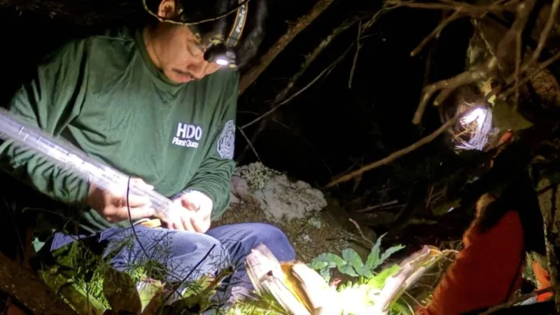 New biosecurity academy seeking students to become inspectors in the fight against invasive pests in Hawaii
