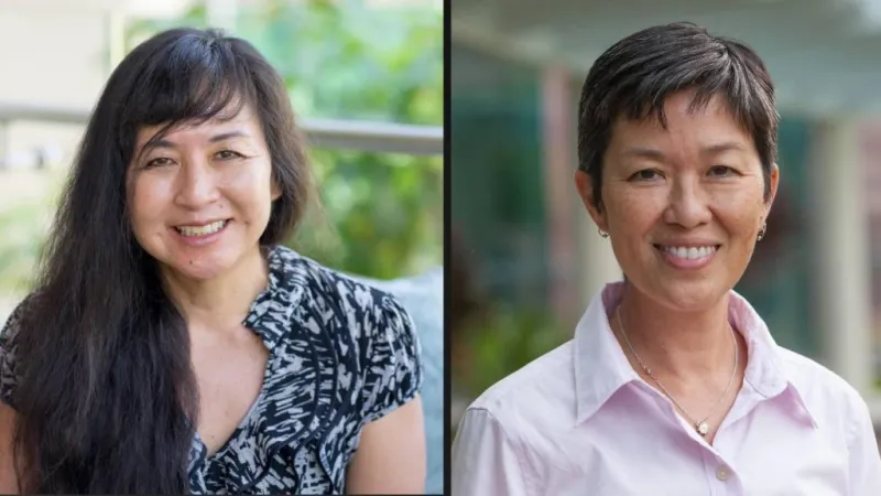 UH Cancer Center secures $3M grant to study breast cancer disparities in Hawaii