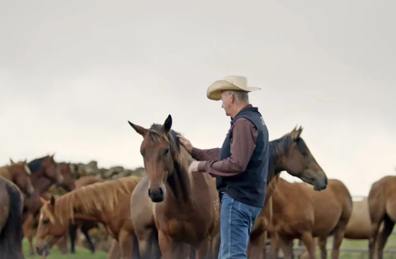 Parker Ranch receives distinguished ranching award for horse breeding program