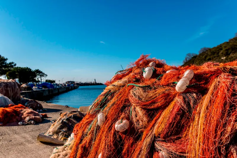 Ghost Gear