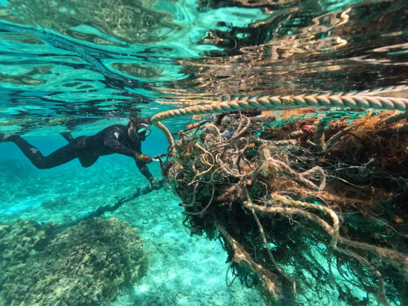 What We Owe The Ocean