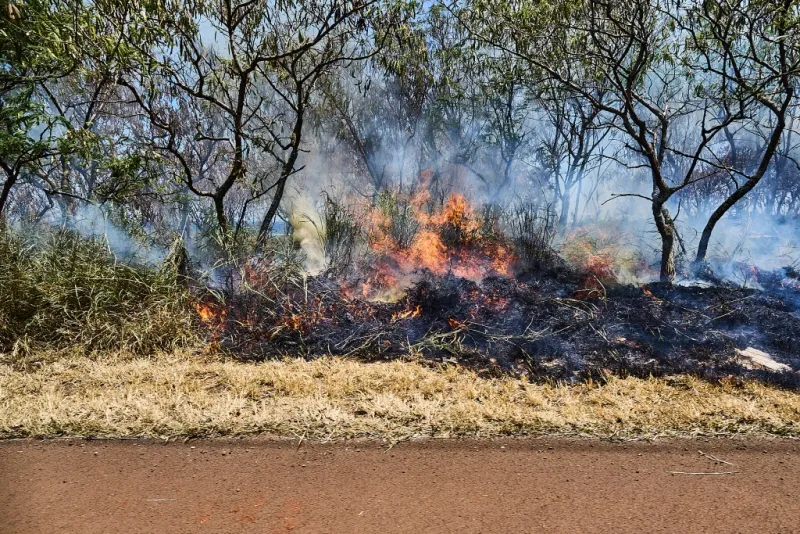 Kauai Punts On Rules To Make Homes Safer From Fires - Again
