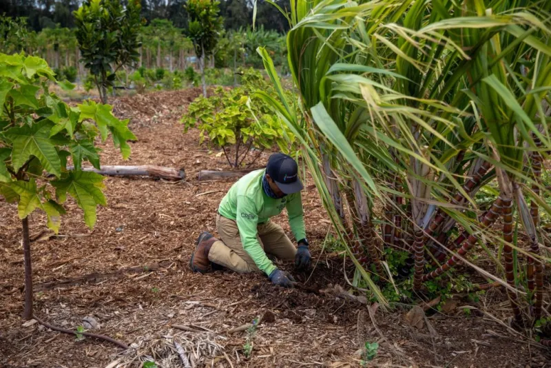 Two agricultural organizations donate money to farmers impacted by recent storms