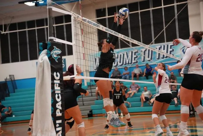 Sharks Fall to Biola in Four Sets at Home