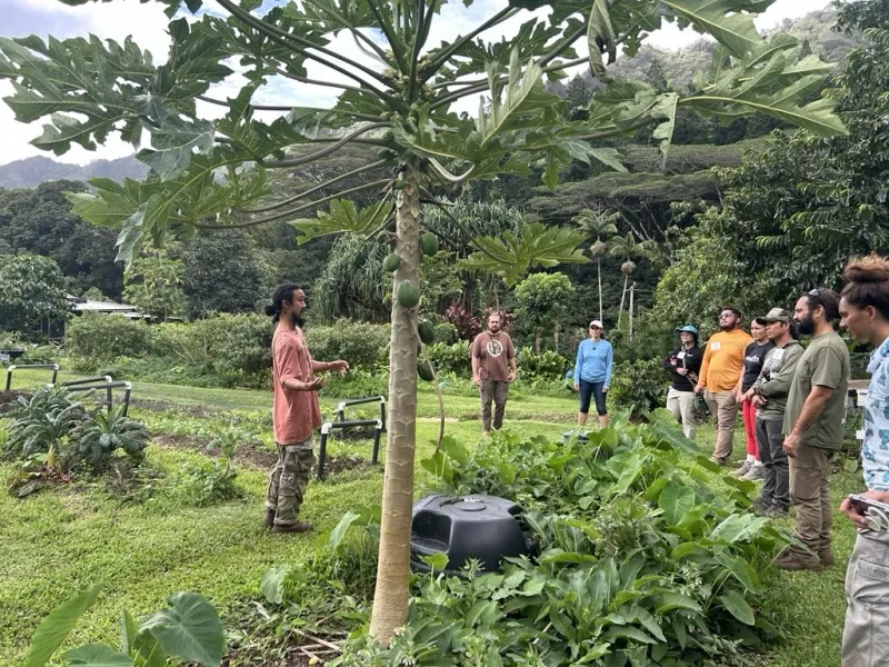 Hawaii's Food Security Can Take Root In Our Own Neighborhoods