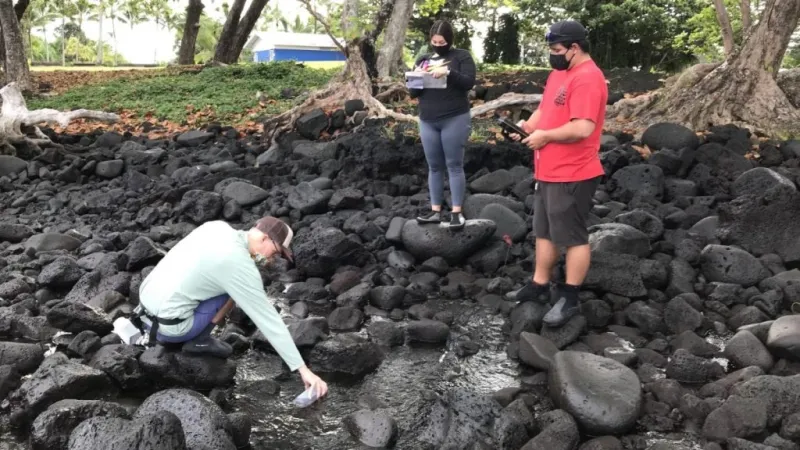 New UH Hilo study seeks to help communities target sewage pollution and protect coastal waters