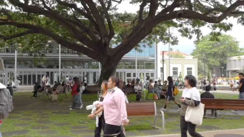 University of Hawaii expands free Microsoft 365 access at all 10 campuses